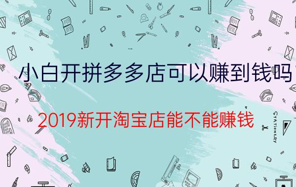 小白开拼多多店可以赚到钱吗 2019新开淘宝店能不能赚钱？